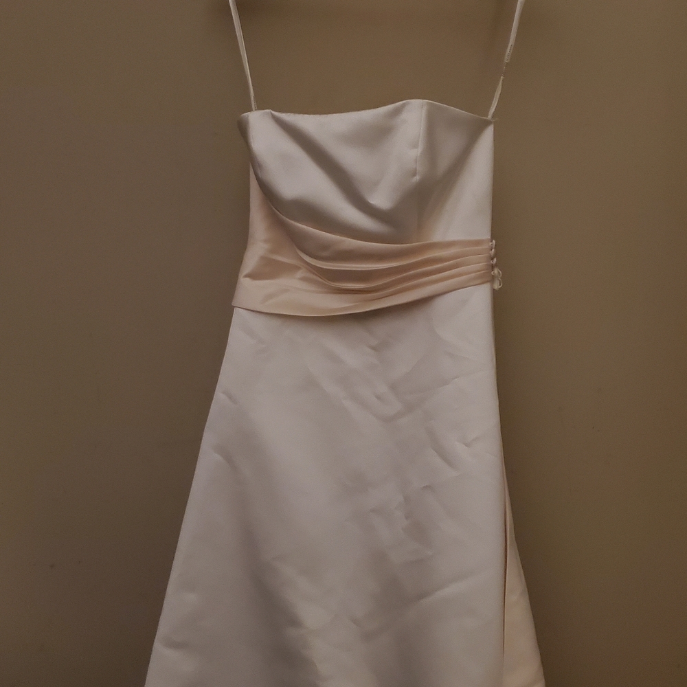 David's Bridal Wedding Gown